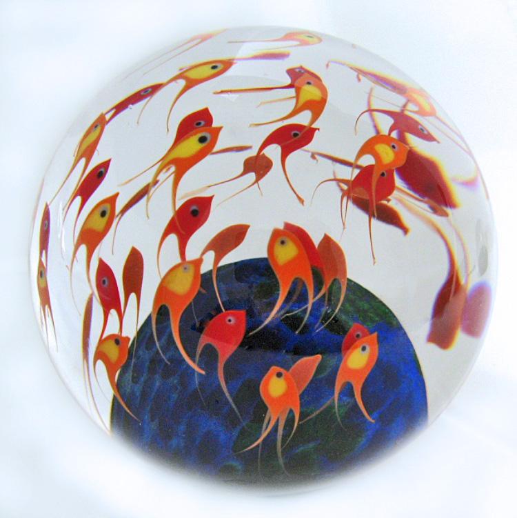 Farfalla Paperweight Richardson Cathy Touchstone Glass Fischschwarm orange Magnum CR 063 2
