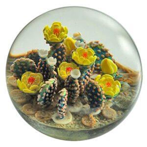 Farfalla Paperweight Richardson Cathy Touchstone Glass Gelber Feigenkaktus CR 2601