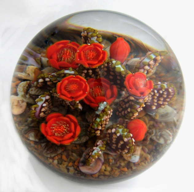 Farfalla Paperweight Richardson Cathy Touchstone Glass Kakteen Sunset Prickly Pear Cactus CR 1243