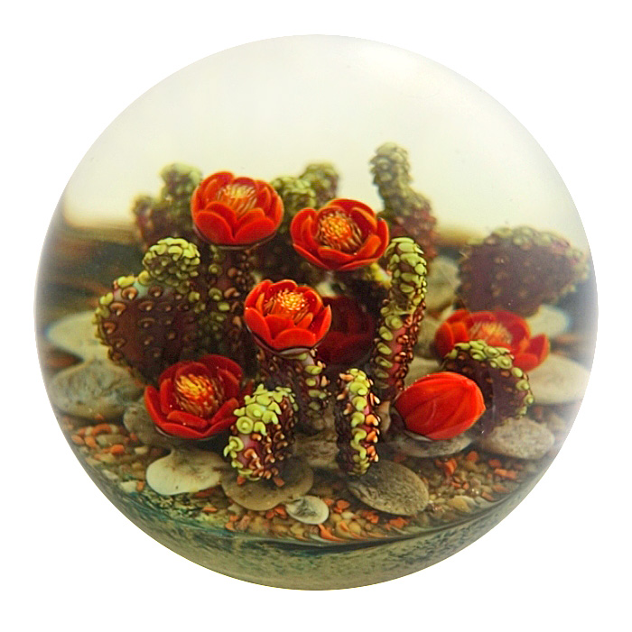 Farfalla Paperweight Richardson Cathy Touchstone Glass Kakteen Sunset Prickly Pear CR 1243 4