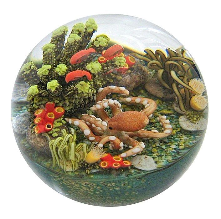 Farfalla Paperweight Richardson Cathy Touchstone Glass Octopus CR 121 2