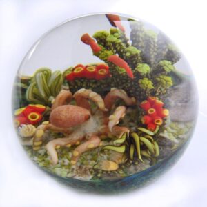 Farfalla Paperweight Richardson Cathy Touchstone Glass Octopus CR 121 3