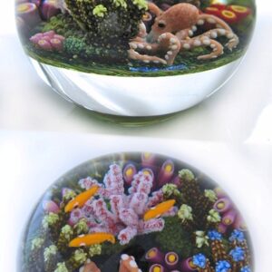 Farfalla Paperweight Richardson Cathy Touchstone Glass Octopus CR 121 4