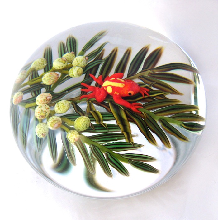 Farfalla Paperweight Richardson Cathy Touchstone Glass Orangefarbener Pfeilgiftfrosch CR 246