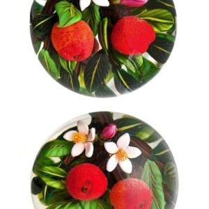 Farfalla Paperweight Richardson Cathy Touchstone Glass Pfirsiche Miniatur Kugel Peaches Sphere CR 1250