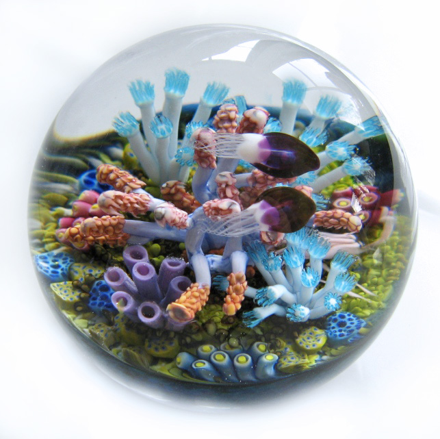 Farfalla Paperweight Richardson Cathy Touchstone Glass Quallen und Korallen CR 141 2