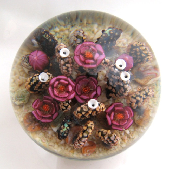 Farfalla Paperweight Richardson Cathy Touchstone Glass Rosabluehende Kakteen CR 124