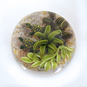 Farfalla Paperweight Richardson Cathy Touchstone Glass Schildkroeten Miniatur CR 1226