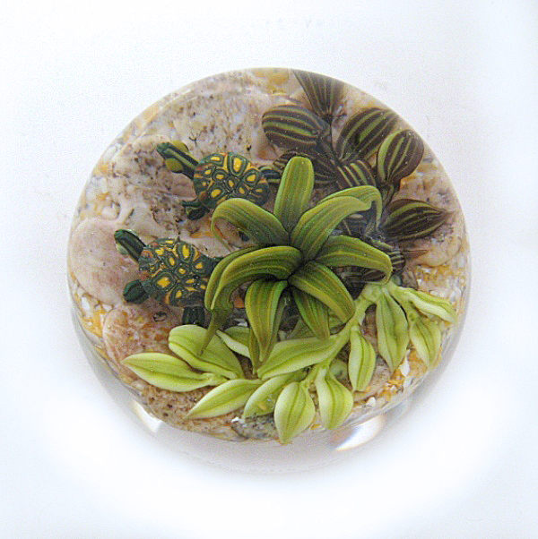 Farfalla Paperweight Richardson Cathy Touchstone Glass Schildkroeten Miniatur CR 1226