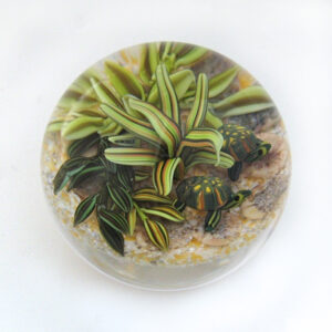Farfalla Paperweight Richardson Cathy Touchstone Glass Schildkroeten Miniatur CR 1226 2
