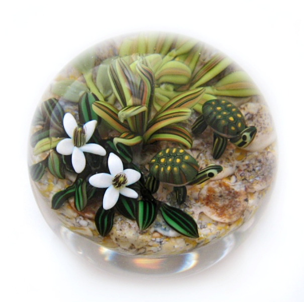 Farfalla Paperweight Richardson Cathy Touchstone Glass Schildkroeten Miniatur CR 1226 7