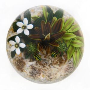 Farfalla Paperweight Richardson Cathy Touchstone Glass Schildkroeten Miniatur CR 1226 9