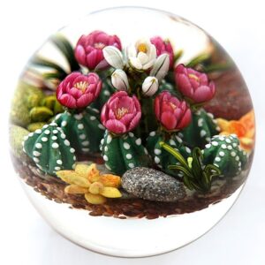 Farfalla Paperweight Richardson Cathy Touchstone Glass Steingarten mit Kakteen CR 1248