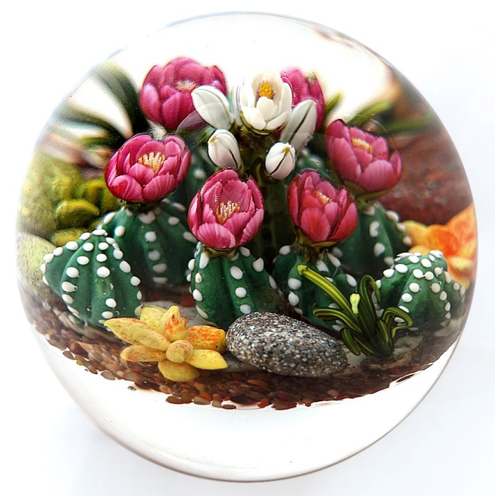 Farfalla Paperweight Richardson Cathy Touchstone Glass Steingarten mit Kakteen CR 1248