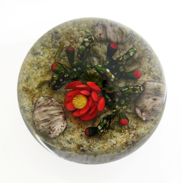 Farfalla Paperweight Rosenfeld Ken Bluehender Kaktus KR 138