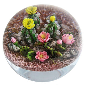 Farfalla Paperweight Rosenfeld Ken Kens Kakteengarten KR 225