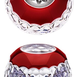 Farfalla Paperweight Saint Louis Bat Chauve Souris Fledermaus SL 1906