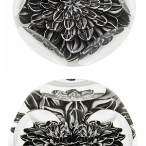 Farfalla Paperweight Saint Louis Dahlia Noir SL 150300