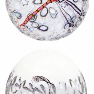 Farfalla Paperweight Saint Louis Demoiselle SL 150400
