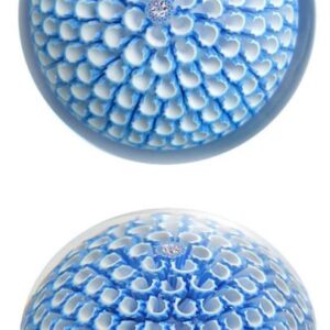 Farfalla Paperweight Saint Louis Fioretti Honeycomb SL 205 5