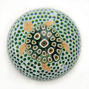 Farfalla Paperweight Saint Louis La Tortue SL 110300