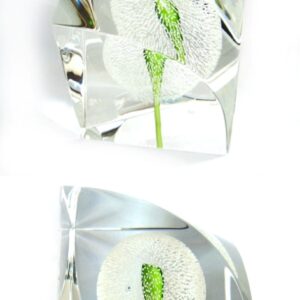 Farfalla Paperweight Saint Louis Le Pissenlit SL 110200