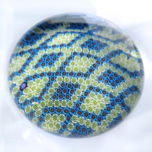 Farfalla Paperweight Saint Louis Millefiori JACQUART SL 255