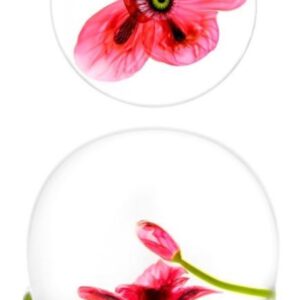 Design ohne Titel 1