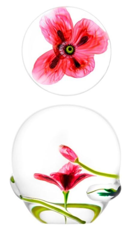 Design ohne Titel 1