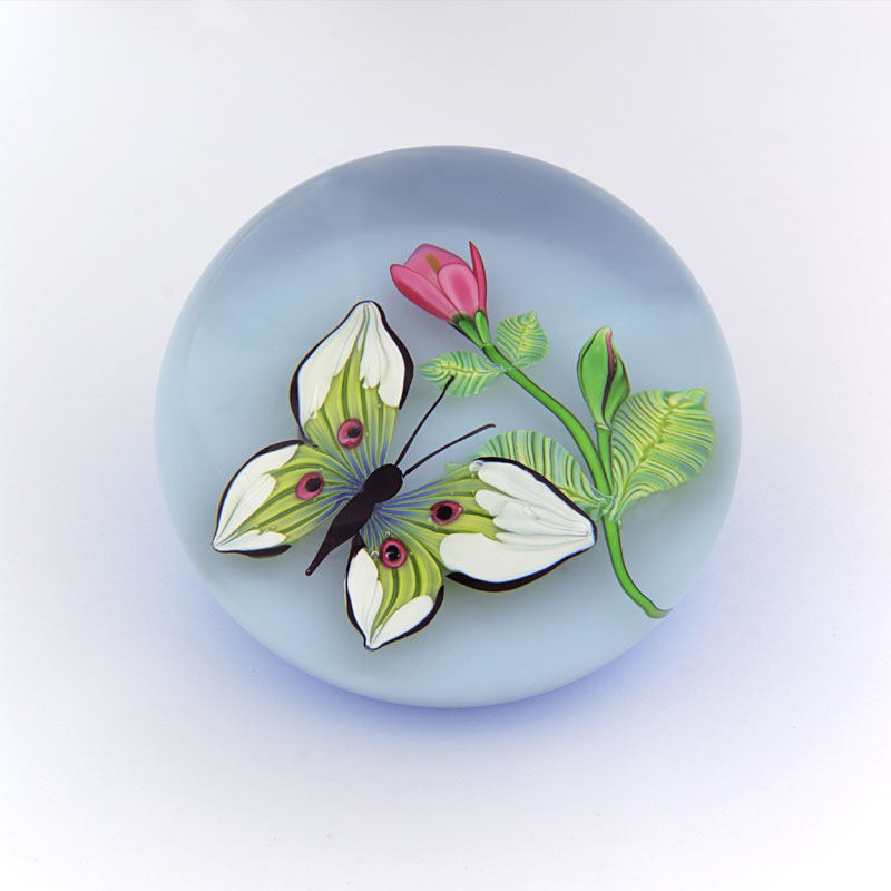 Farfalla Paperweight Saint Louis Schmetterling SL 896
