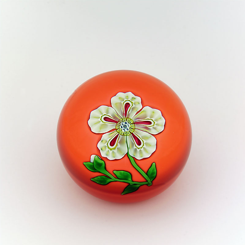 Farfalla Paperweight Saint Louis Weisse Blume SL 017