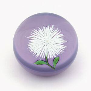 Farfalla Paperweight Saint Louis Weisse Federdahlie SL 022