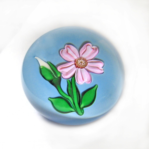 Farfalla Paperweight Saint Louis Wildrose mit Knospe Miniatur SL 991