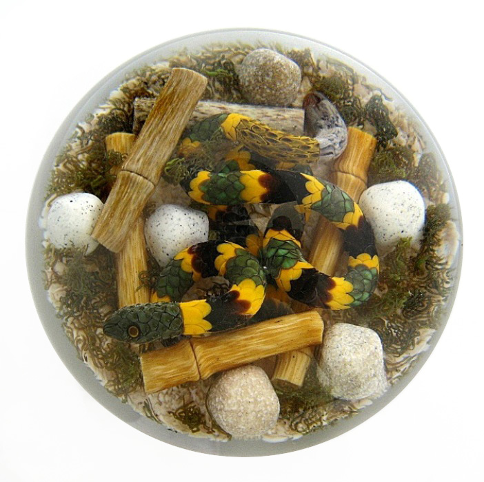 Farfalla Paperweight Smith Gordon Banded Krait GS 294