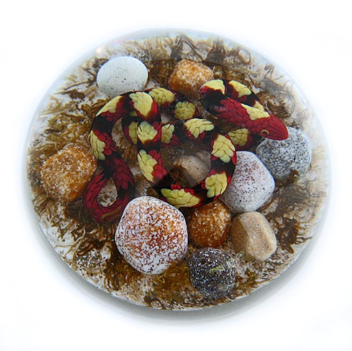 Farfalla Paperweight Smith Gordon Coral Snake GS 292