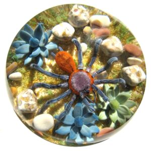 Farfalla Paperweight Smith Gordon Ecuadorian Purple Tarantula GS 297a