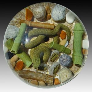 Farfalla Paperweight Smith Gordon Green Ground Snake II GS 302