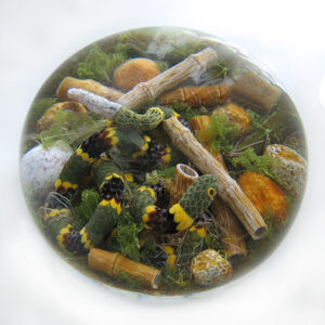 Farfalla Paperweight Smith Gordon Klapperschlange Timber Rattlesnake GS 287