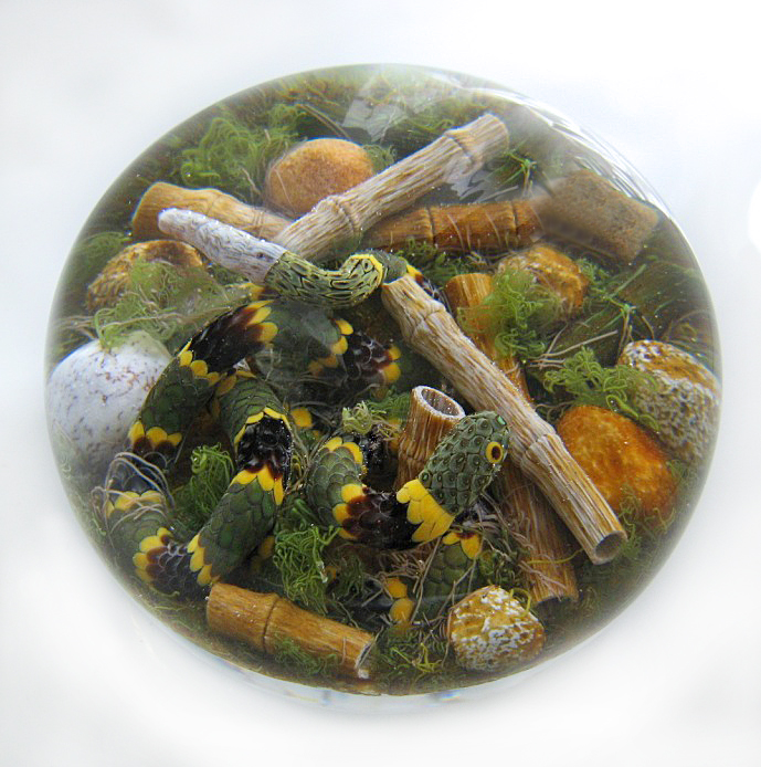 Farfalla Paperweight Smith Gordon Klapperschlange Timber Rattlesnake GS 287