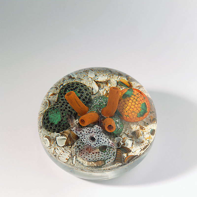 Farfalla Paperweight Smith Gordon Kofferfisch GS 268