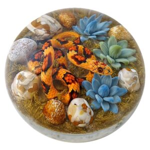 Farfalla Paperweight Smith Gordon Kornnatter und Sukkulenten GS 303