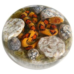 Farfalla Paperweight Smith Gordon Kornnatter GS 295