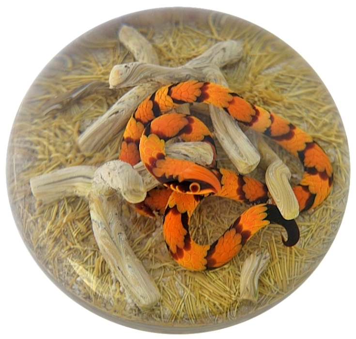 Farfalla Paperweight Smith Gordon Kornnatter GS 301