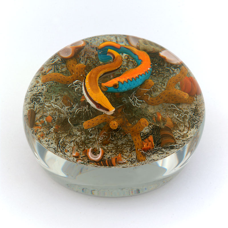 Farfalla Paperweight Smith Gordon Lippfische GS 275