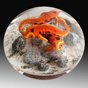 Farfalla Paperweight Smith Gordon Orangefarbene Kois II GS 257 2