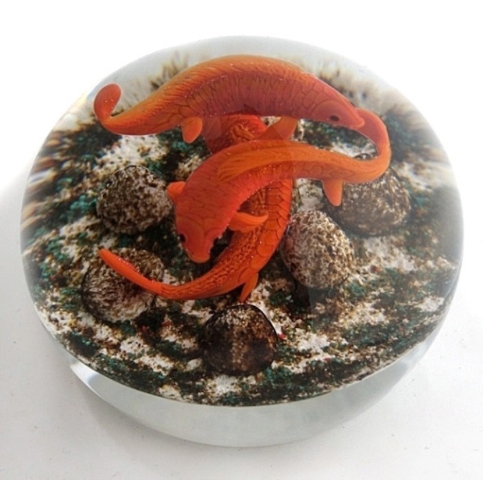 Farfalla Paperweight Smith Gordon Orangefarbene Kois I GS 257