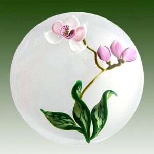 Farfalla Paperweight Smith Gordon Orchidee GS 202
