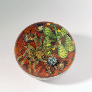 Farfalla Paperweight Smith Gordon Tarantel im Wuestensand GS 271