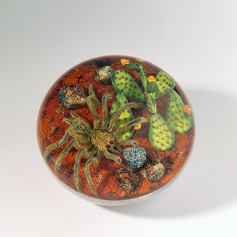 Farfalla Paperweight Smith Gordon Tarantel im Wuestensand GS 271