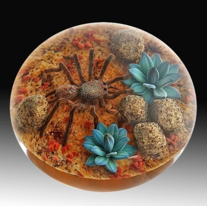 Farfalla Paperweight Smith Gordon Tarantel GS 255